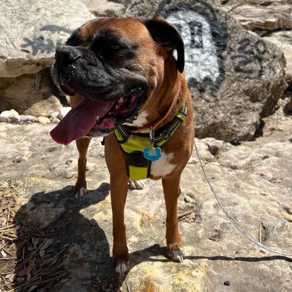 Meet your Posher, Zoë - Picture 9 of 10